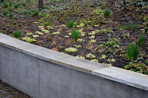 Concrete Wall Construction in Irvine