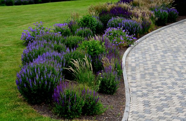 Cost of Sidewalk Curb Installation in Irvine