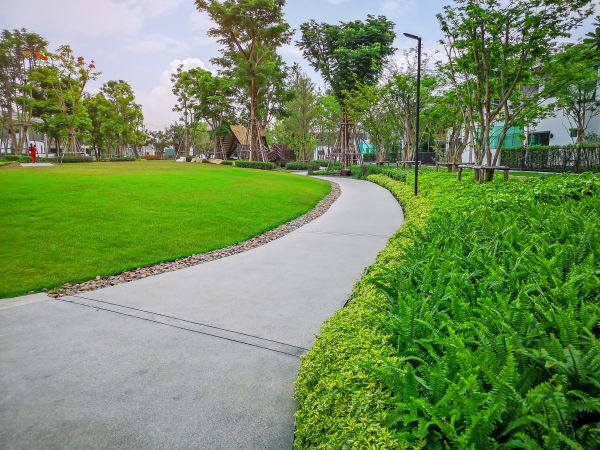 Cost of Cement Walkway Service in Irvine