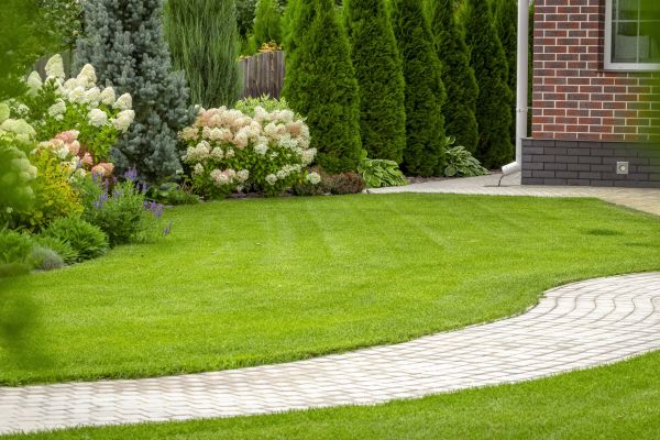 Landscape Walkway Installation in Irvine